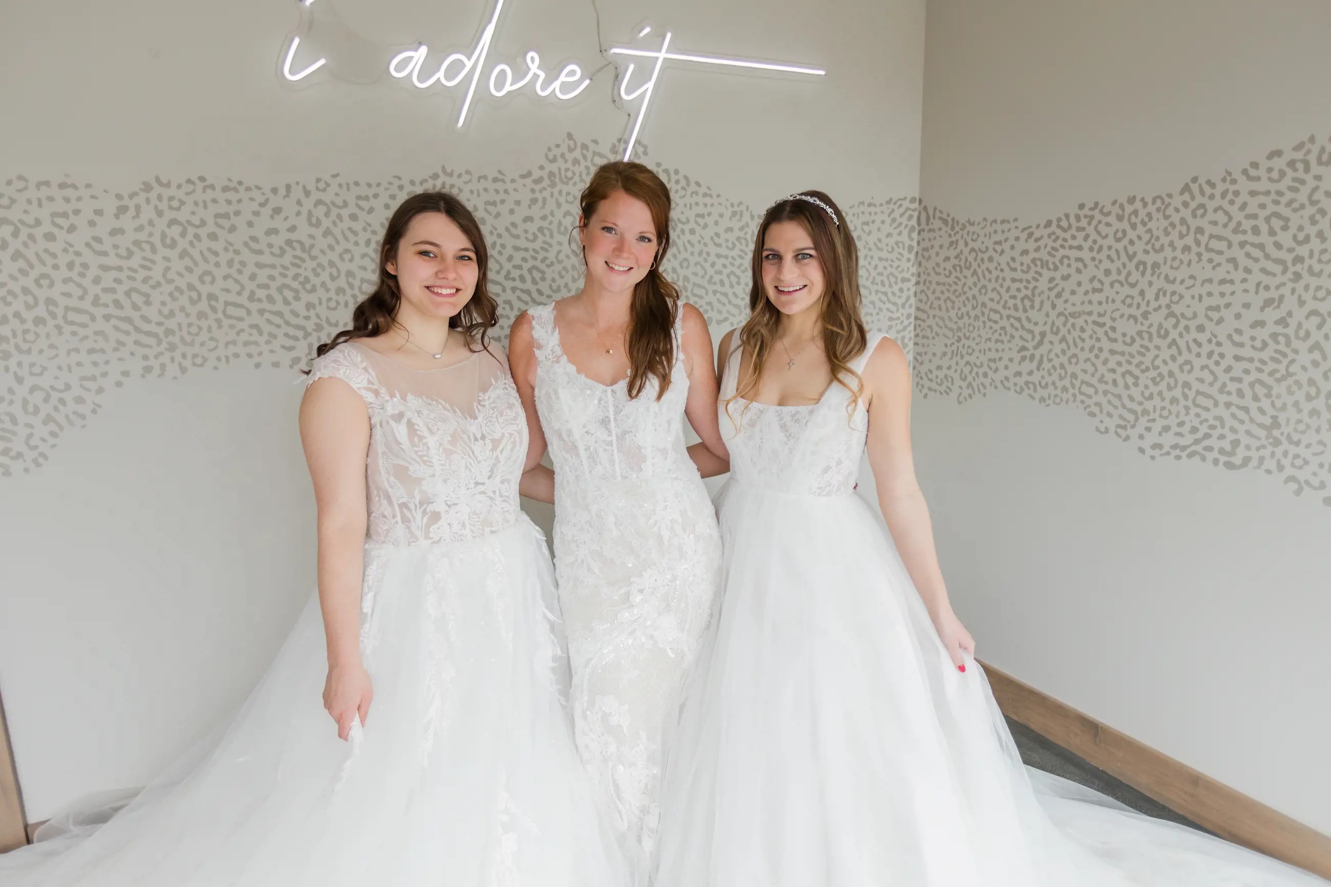 Wedding Dress Silhouettes Image