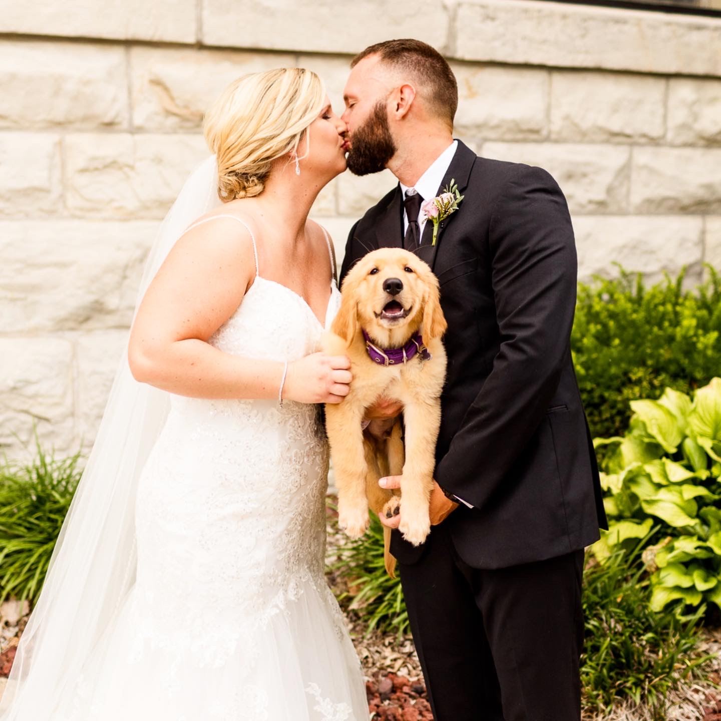 #adoreVIP | Lauren and Carl | Puppy Love. Desktop Image