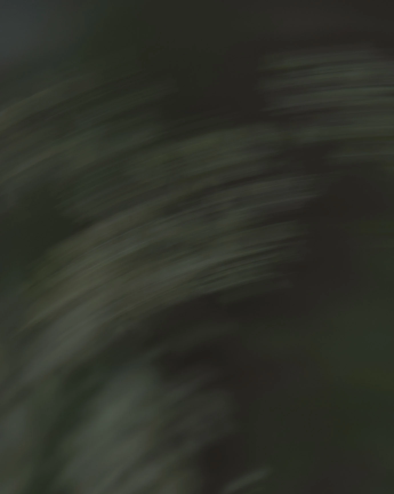 Banner background - Mobile Image