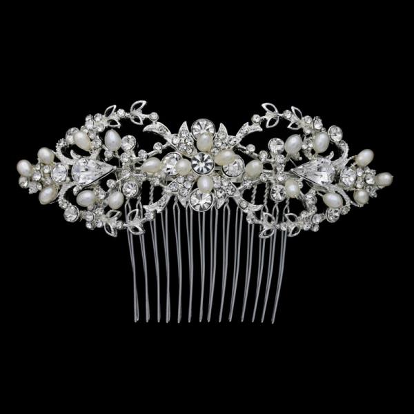 C-5653 - Silver - $105