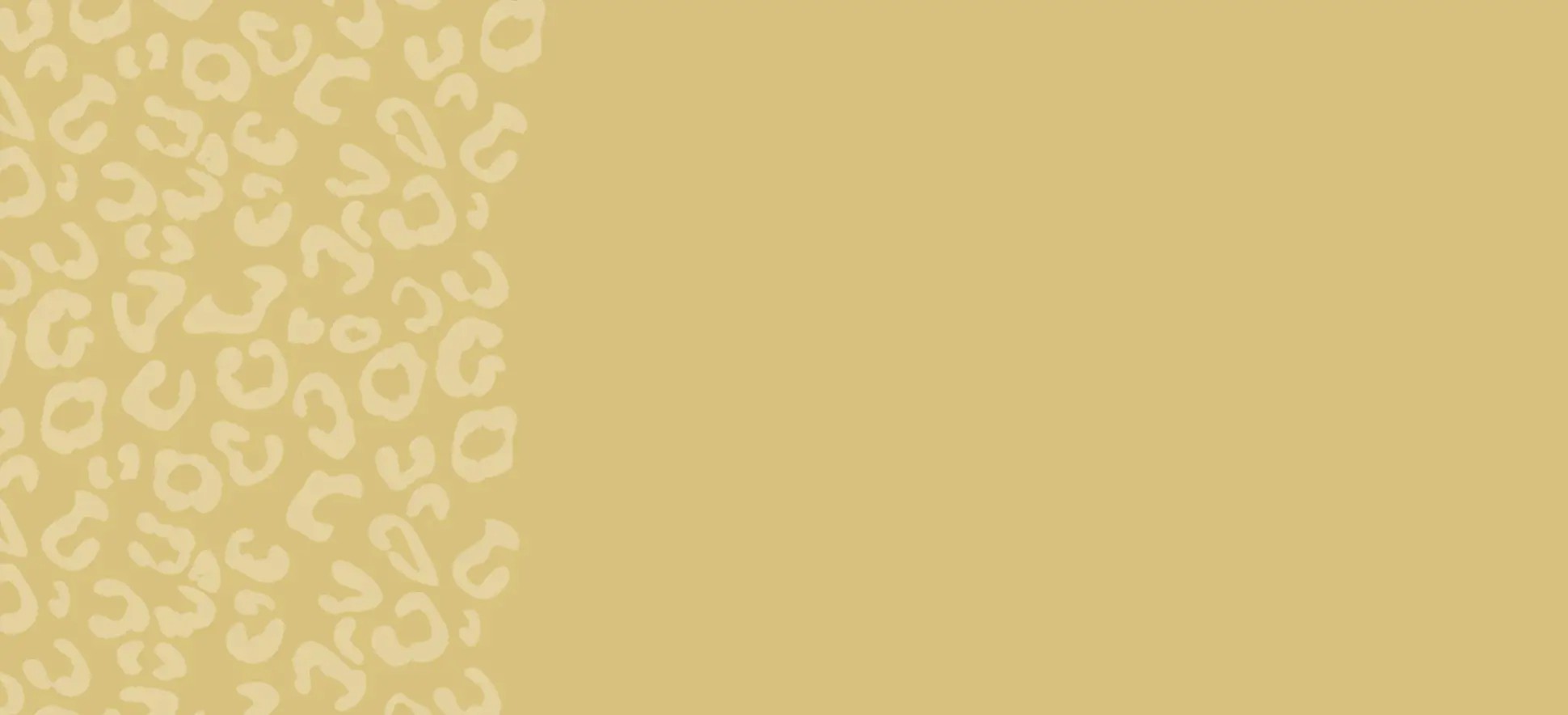 Photo of Adore Bridal & Speciality