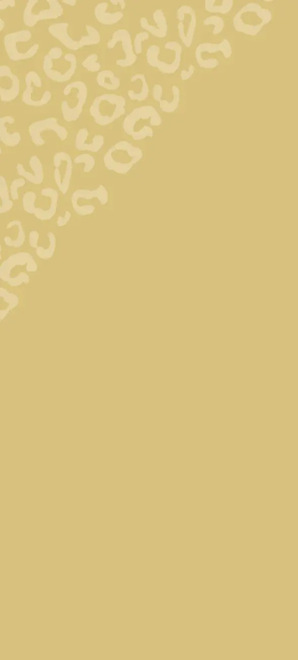 Photo of Adore Bridal & Speciality. Mobile image