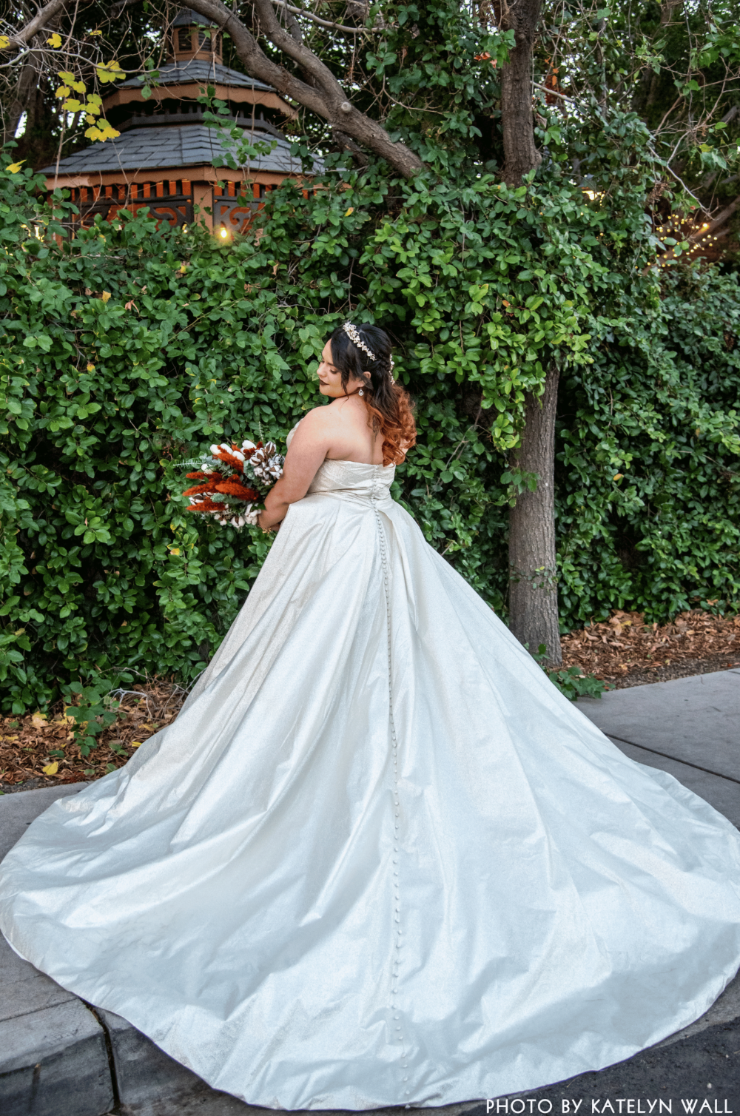 Plus Size Wedding Dresses near me Peoria Bloomington Central
