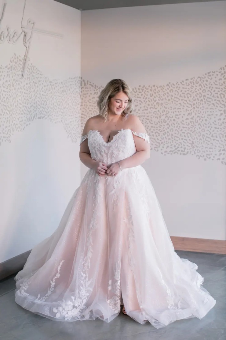 Ballgown Wedding Dresses near me Peoria Bloomington Central Illinois Brides