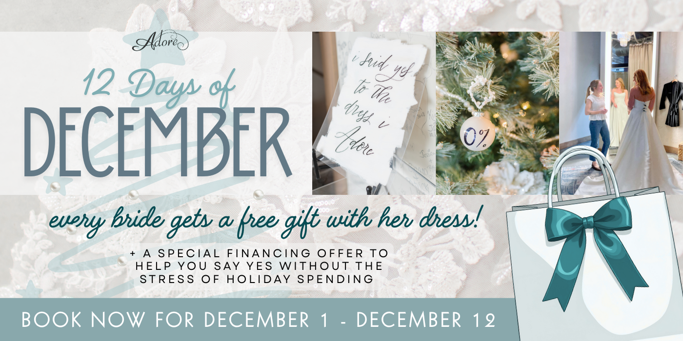 Illinois Bride Peoria Cloud Nine Bridal Down the AIsle Wedding Dress 2025 Eddy K