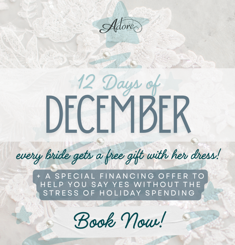 Illinois Bride Peoria Cloud Nine Bridal Down the AIsle Wedding Dress 2025 Eddy K